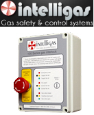 Gas Interlock Panel IG100CS